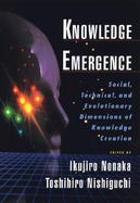 Knowledge Emergence: Social, Technical, and Evolutionary Dimensions of Knowledge Creation cover