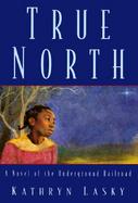 True North: A Novel of the Underground Railroad cover
