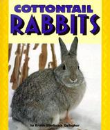 Cottontail Rabbits cover