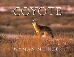 Coyote cover
