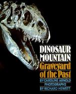Dinosaur Mountain Graveyard of the Past cover