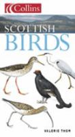 Scottish Birds cover