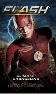 The Flash - Novel 2 cover