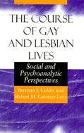 The Course of Gay and Lesbian Lives Social and Psychoanalytic Perspectives cover