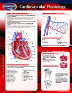 Cardiovascular Physiology Chart-Two Panel Chart cover