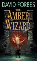 The Amber Wizard cover