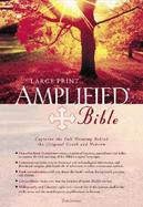 Holy Bible Amplified cover
