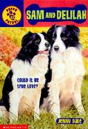Sam and Delilah cover
