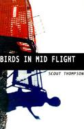 Birds in Mid Flight cover