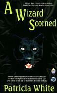 A Wizard Scorned cover