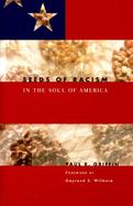 Seeds of Racism in the Soul of America cover