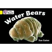 Water Bears cover