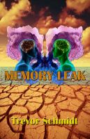 Memory Leak cover