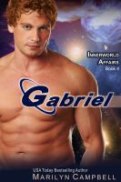 Gabriel (the Innerworld Affairs Series, Book 4) cover