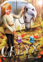 Calyx of Teversall cover