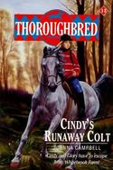 Cindy's Runaway Colt cover