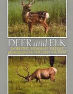 Deer and Elk cover