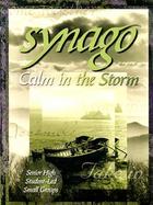 Synago Calm in the Storm cover