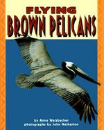 Flying Brown Pelicans cover