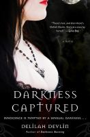 Darkness Captured : A Novel cover