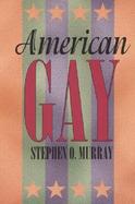 American Gay cover