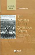 American South An Interpretive History cover