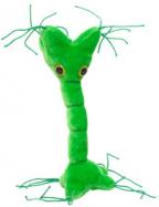 GiantMicrobes-Nerve Cell cover