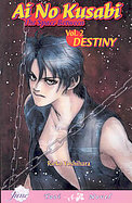 Ai No Kusabi the Space Between 2 Destiny (volume2) cover