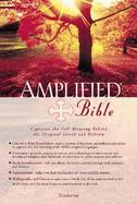 Amplified Bible Burgundy Genuine Leather cover