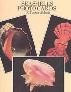 Seashells Photo Post Cards cover