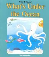 What's Under the Ocean cover