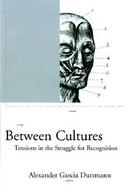 Between Cultures Tensions in the Struggle for Recognition cover