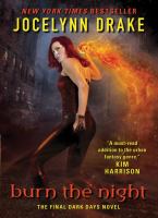 Burn the Night: the Final Dark Days Novel cover