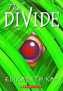 Divide cover