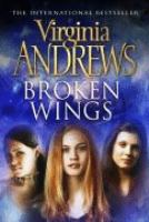 Broken Wings cover