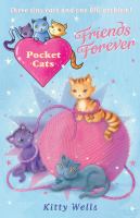 Pocket Cats: Friends Forever cover