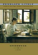 Spiderweb cover