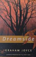 Dreamside cover