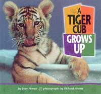 A Tiger Cub Grows Up cover