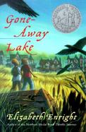Gone Away Lake cover