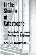 In the Shadow of Catastrophe: German Intellectuals Between Apocalypse and Enlightment cover