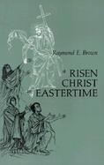 A Risen Christ in Eastertime Essays on the Gospel Narratives of the Resurrection cover