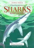 Sharks: A Visual Introduction to Sharks, Skates and Rays cover