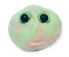 GiantMicrobes-Stem Cell cover