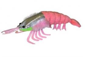 GiantMicrobes-Krill cover
