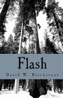 Flash : Collected short Fiction cover