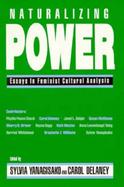 Naturalizing Power Essays in Feminist Cultural Analysis cover
