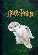 Harry Potter Hedwig the Owl Journal cover