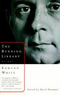 The Burning Library Essays cover