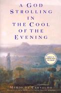 A God Strolling in the Cool of the Evening cover